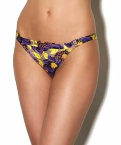 Songe Tropical Brief