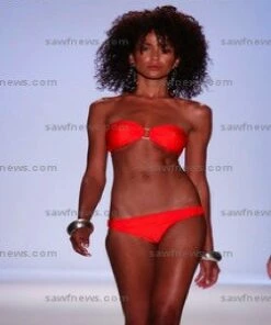 Solid Swim American Bikini